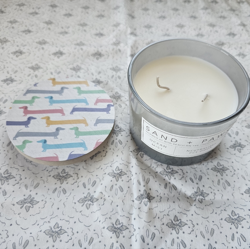 Rainbow Dachshund Sand & Paws Ocean Mist Candle